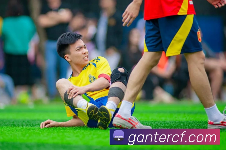 超凡国际平台生态图